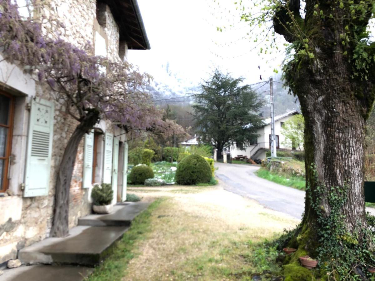 Au Pied Du Vercors Tout Est Permis La Riviere  Ngoại thất bức ảnh