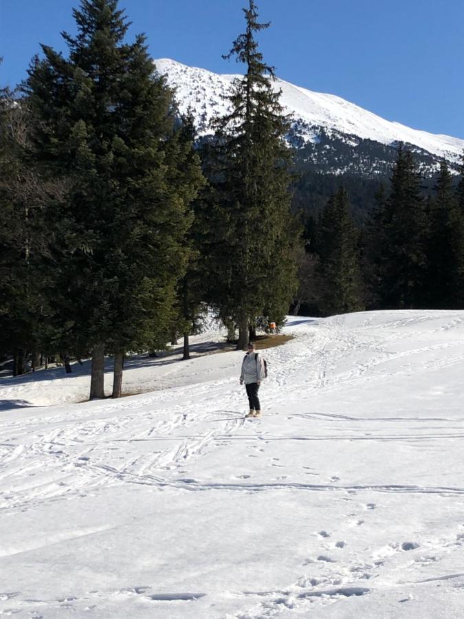 Au Pied Du Vercors Tout Est Permis La Riviere  Ngoại thất bức ảnh